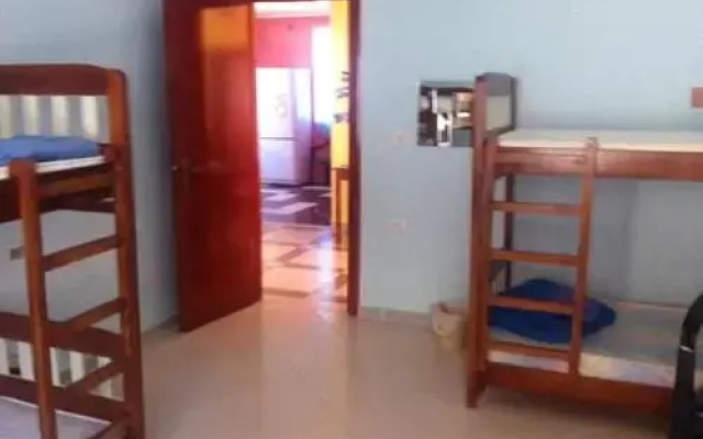 Dolphin Hostel