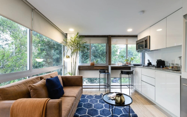 Comfortable Studio Near La Condesa