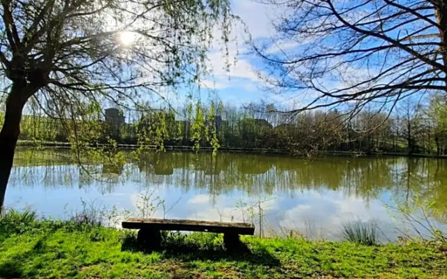 Les etangs du moulin d'Harcy