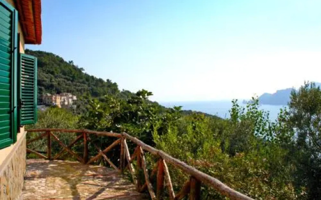 Baldassarre Massa Lubrense
