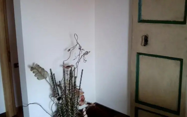 Panoramic House