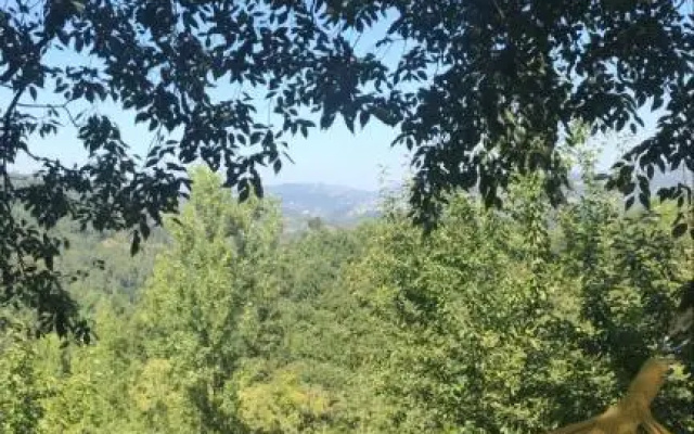 Quinta do Ladário