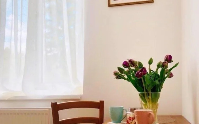 Teo's Flat