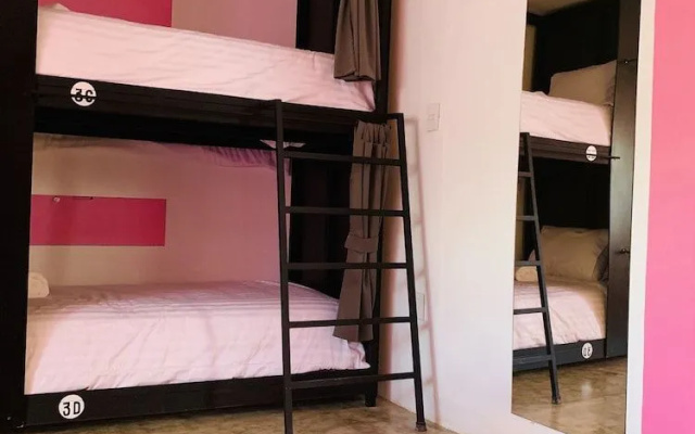 Hotel Suculenta Boutique