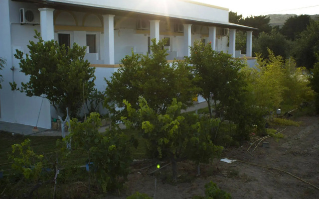 Level Houses
