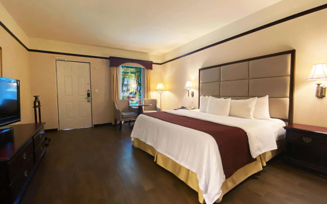 Safi Royal Luxury Centro
