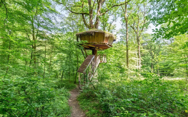 L'Arbre à Cabane