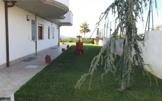Buena Vista B&B
