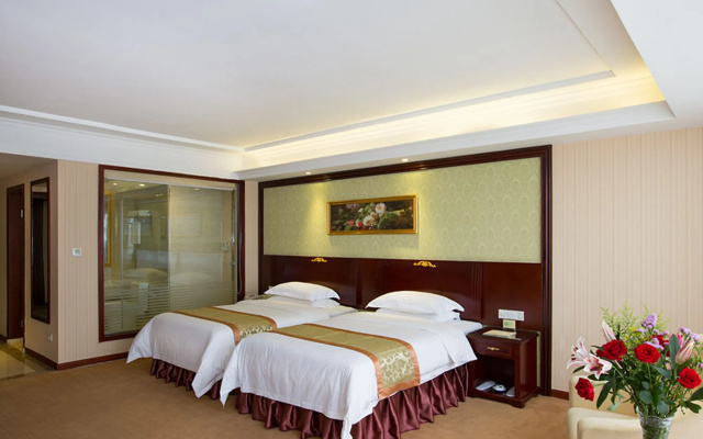 Vienna Hotel Heyuan Gaoxin 1st Road