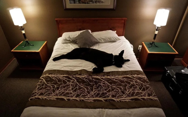 The Bamfield Motel