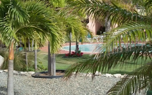 Jardines Del Mar