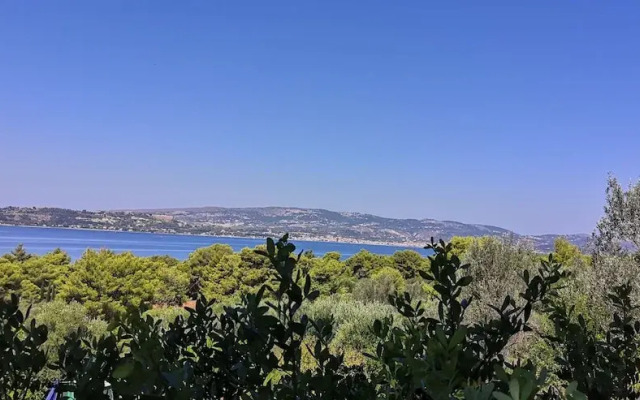 Seapine Studios