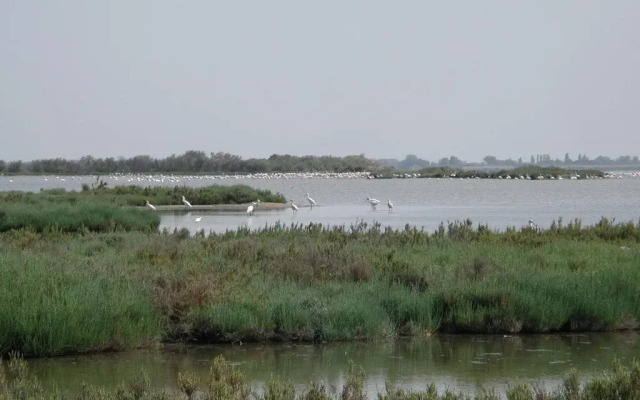 Villetta Lagomare