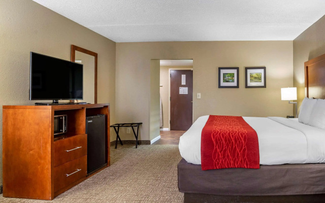 Comfort Inn Matthews - Charlotte