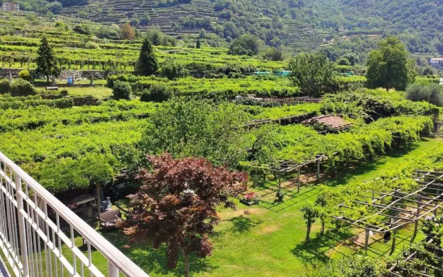 La Casa Dei Nonni 3,0