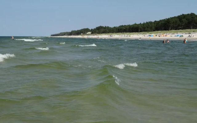 8-osobowy drewniany domek Andrzej