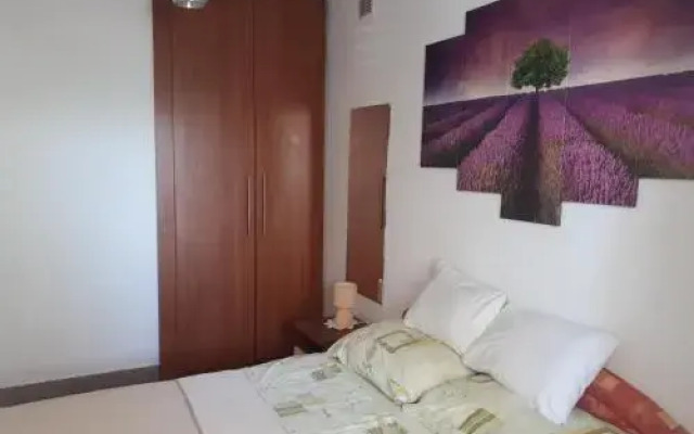 Apartments Kip