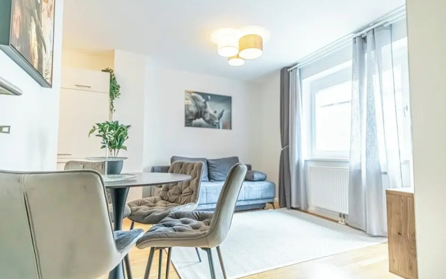 Comfortable 1BR 1LR City Center Apt