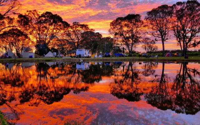 Coonawarra Bush Holiday Park