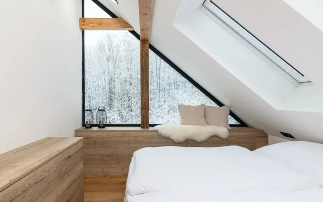 Villa in Celadna With Outdoor Cinema & Whirlpool