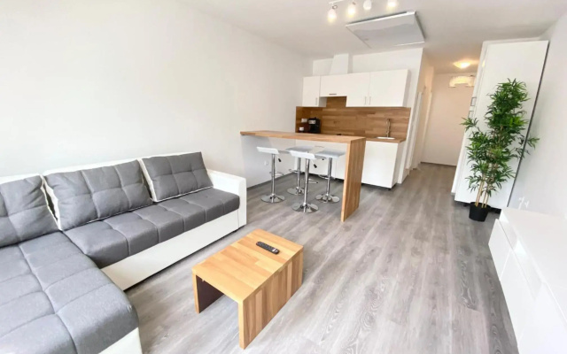 Apartment 3 Sovice