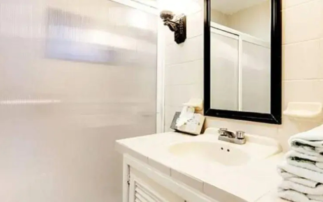 Apartamentos Tortugas