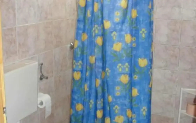 Apartments Boguvila - Two-bedroom Economy Apartment With Terrace -