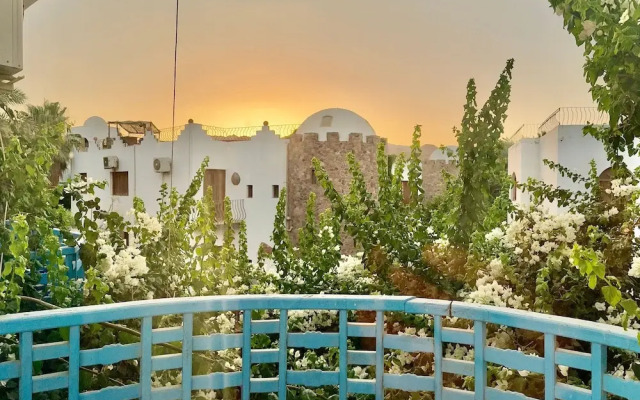 Palma Oasis Hostel