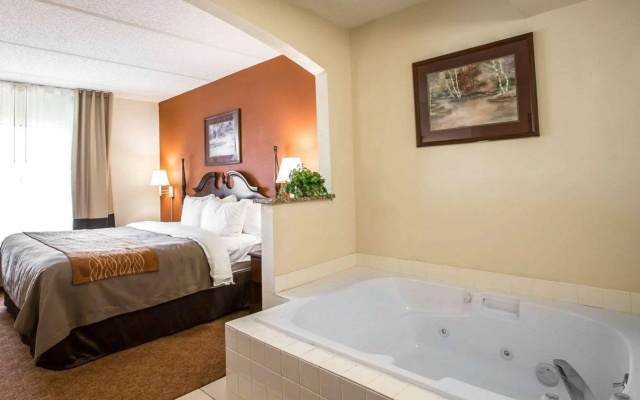 Comfort Inn & Suites Spartanburg North