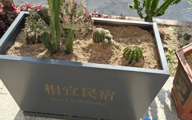 Meizhoudao Xiangyi Homestay