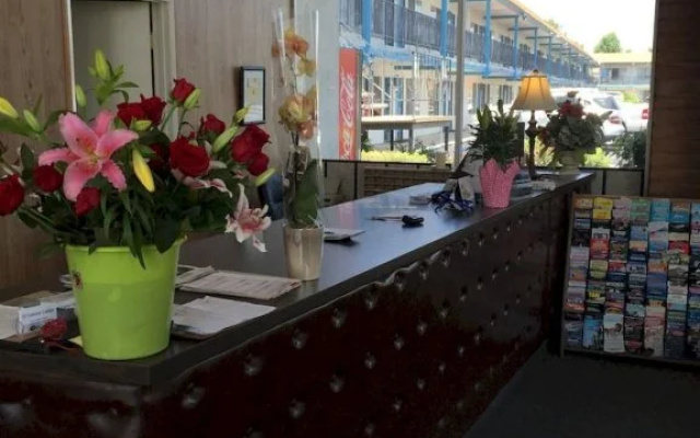 El Cortez Lodge