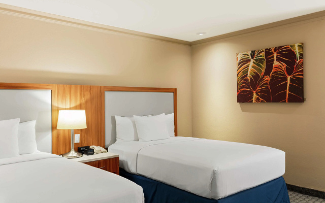 Hilton México City Airport