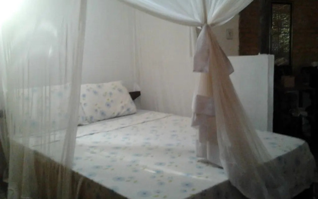 Pousada Raiz Forte