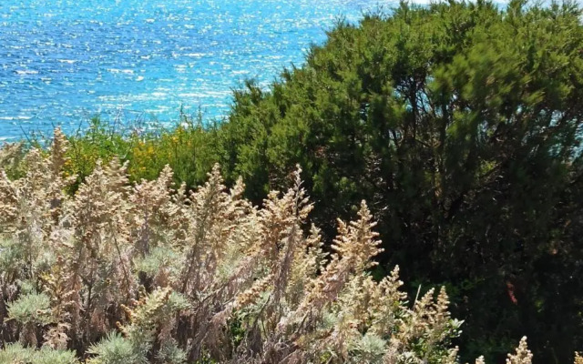 ALBELDI'