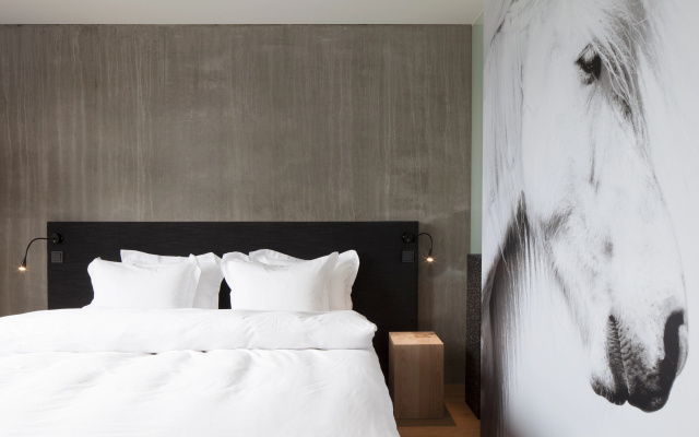 Отель ION Adventure, Nesjavellir, a Member of Design Hotels