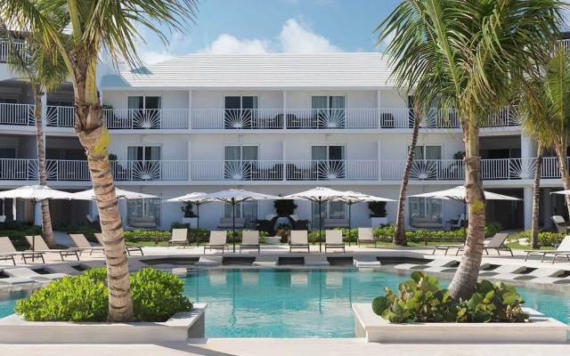 Отель Excellence Punta Cana Adults Only All Inclusive Доминикана, Пунта Кана - 8 отзывов об отеле, цены и фото номеров - забронировать отель Excellence Punta Cana Adults Only All Inclusive онлайн бассейн