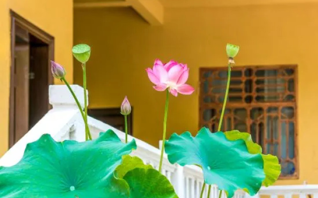Puzhehei Jiuqi Mountain House Inn