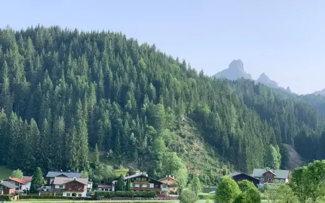 DIE FILZMOOSERIN - home living apartments
