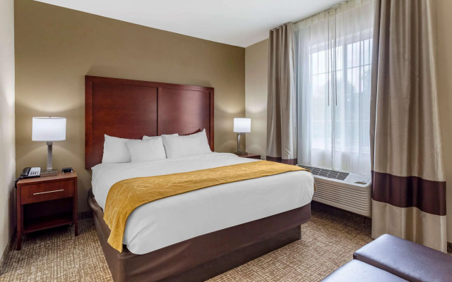 Comfort Suites Clarksville near Governors Square Mall