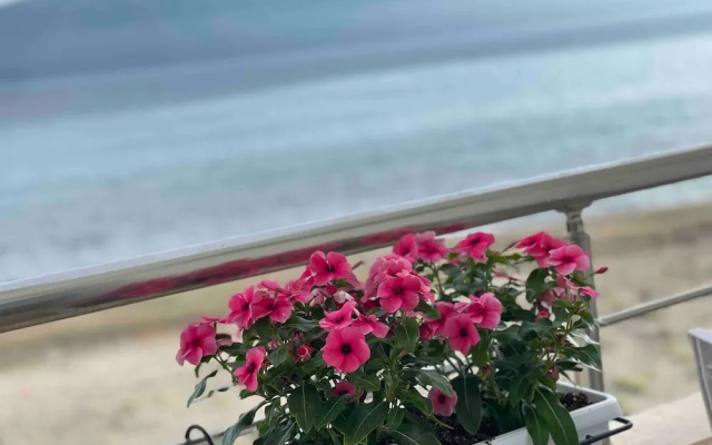 Seaview Apartments Rental Vlore