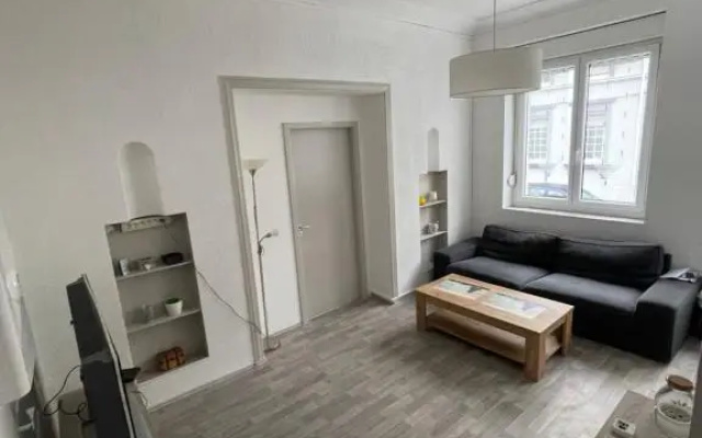 Superbe appartement rénové au centre de Forbach