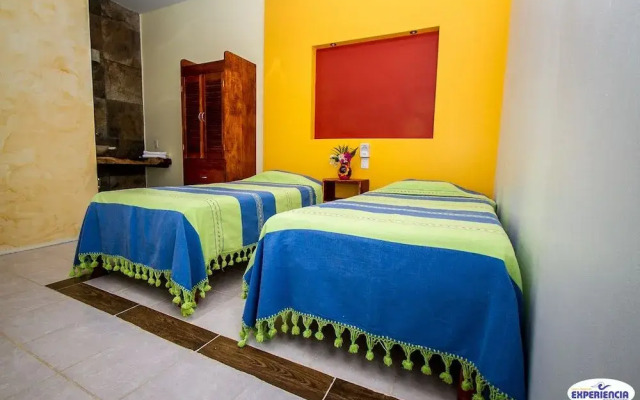 Experiencia Surf Camp - Hostel