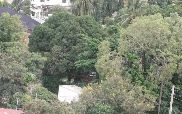 Wanyama Hotel