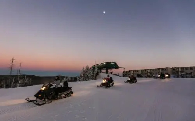 Snowshoe Condo Unit 333