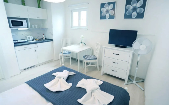 Apartments Pushkin