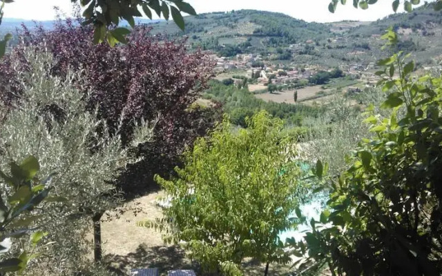 Colle Di Chiaci