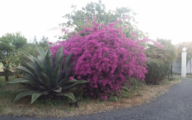 Villa Hibiscus