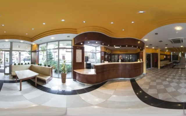 Hotel Borowianka
