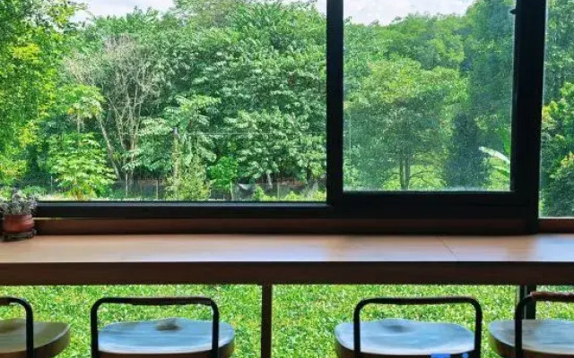Xiangshi Jingmai · Homestay (Puer Tea Estate)