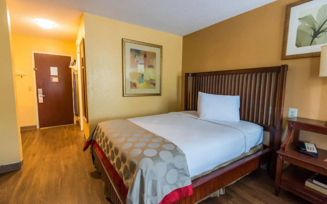 B&B Hotel Orlando International Drive Near Universal - Newly Renovated!